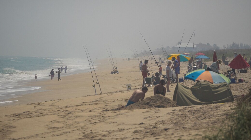 Just south of Sebastian Inlet State Park we found what we thought was a hidden beach. With only a few cars parked on the side of the road marking the small pathway to the beach, we expected to be almost alone.
We were surprised to see the beach dotted with locals out for their daily catch of fresh fish.
What a way to spend the day! Beautiful surprise.
#Florida #fishing #beach #sun #travel #vacation