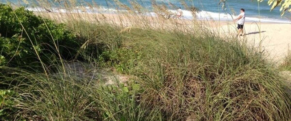 Private black on atlantic