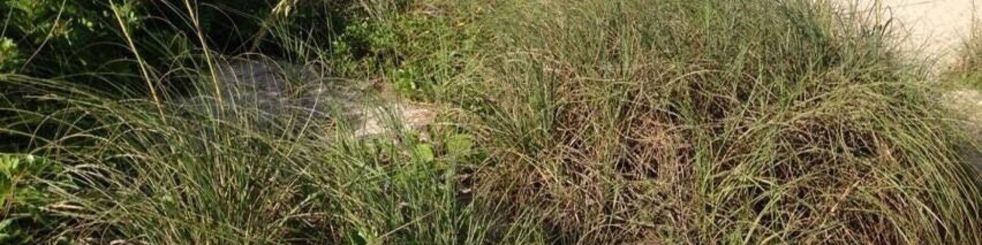 Private black on atlantic