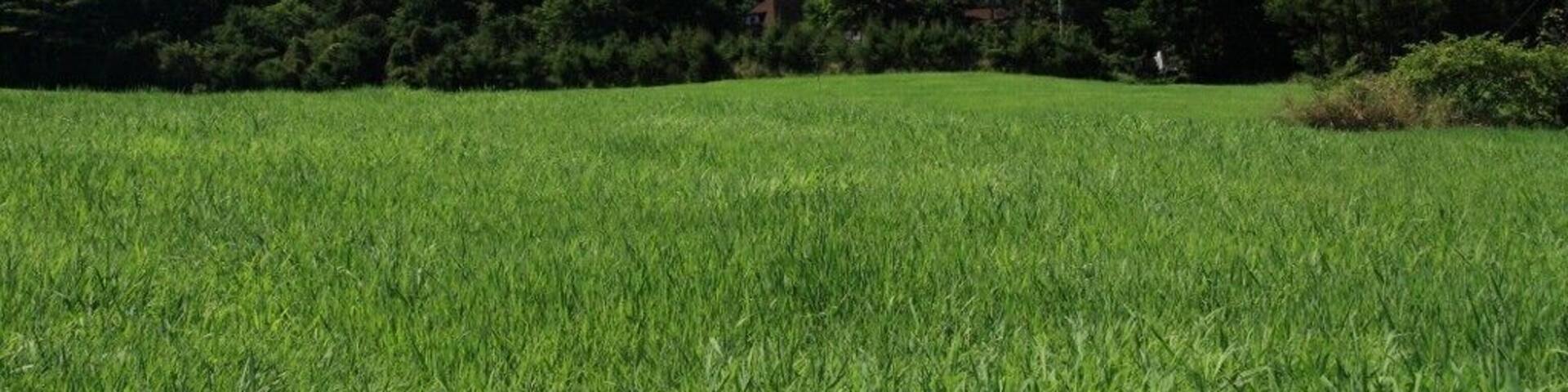 浅間山~嬬恋村から