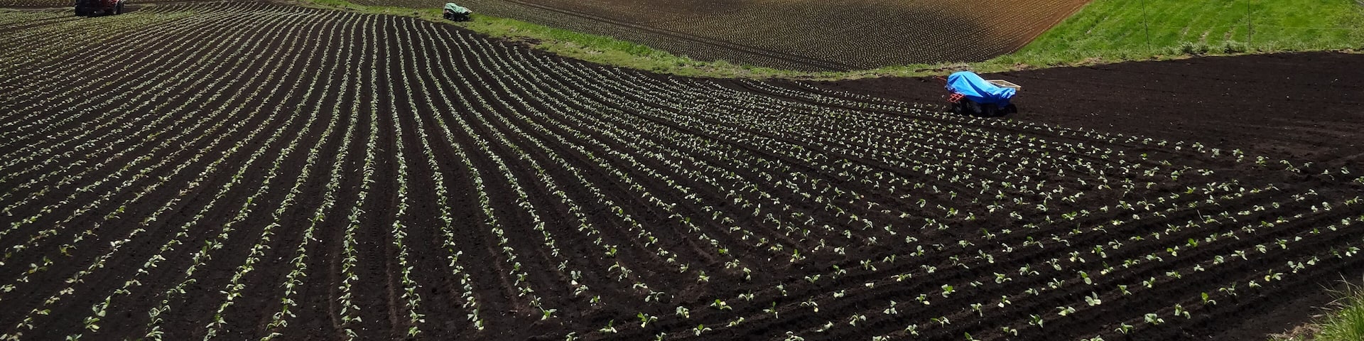 嬬恋村の田園風景(群馬県),Rural area(Tsumagoi village,Gunma Pref,Japan)