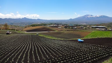 嬬恋村の田園風景(群馬県),Rural area(Tsumagoi village,Gunma Pref,Japan)