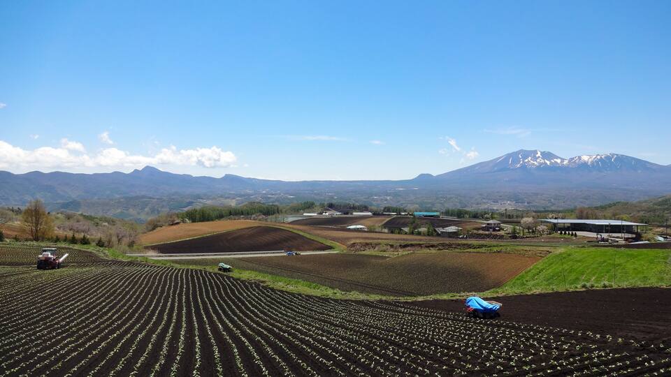A vast agricultural field with rows of young plants, a tractor, and a blue vehicle. In the background, there are buildings and a snow-capped mountain.
