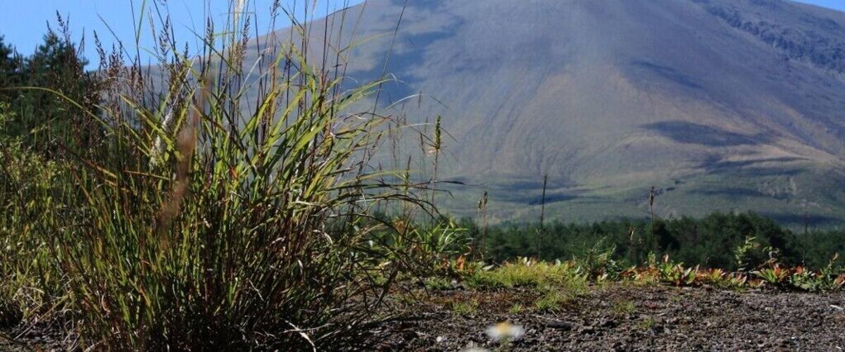 A mountain with sparse vegetation in the foreground.