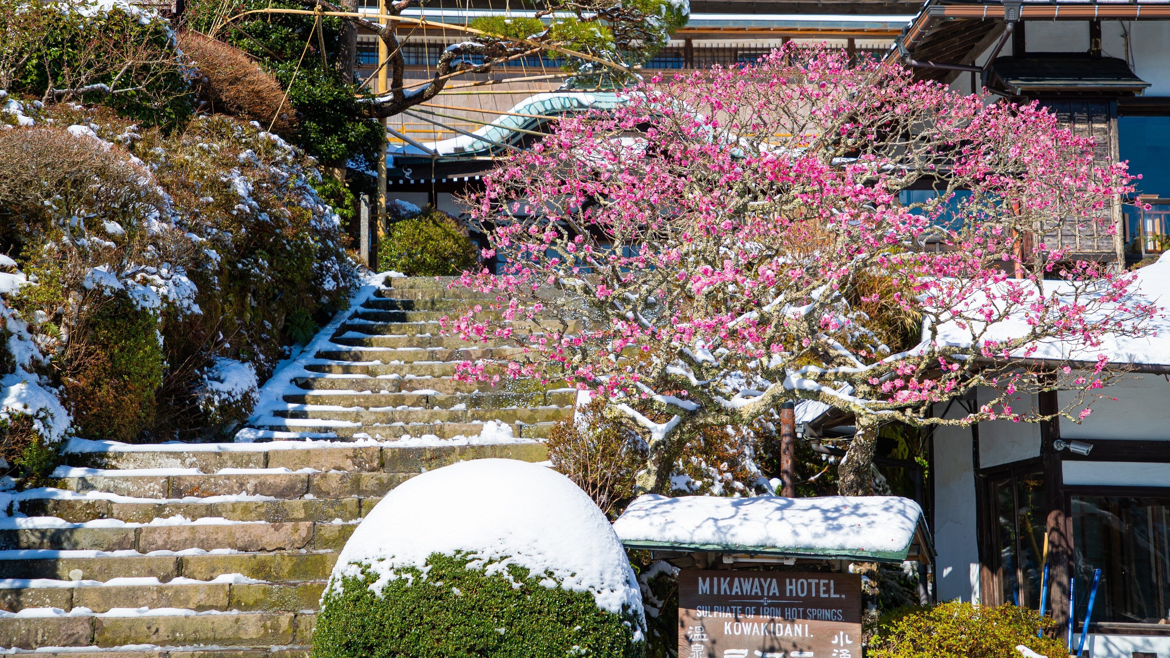 A snow-covered stone staircase leading up to a building with a sign for Mikawaya Hotel.