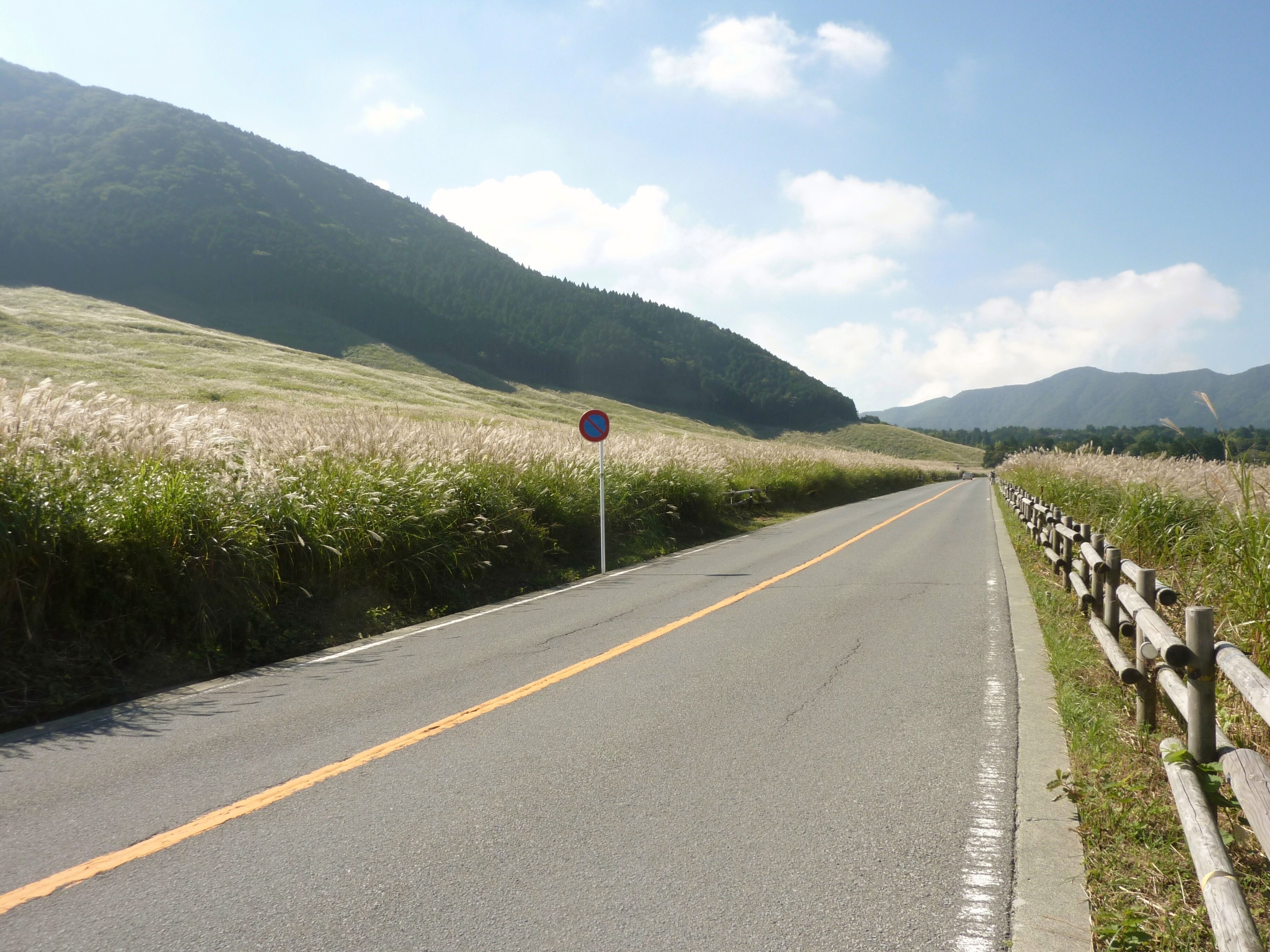 仙石原を通る県道75号（神奈川県箱根町）