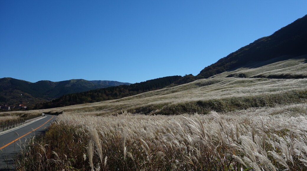 箱根仙石原 20151028
