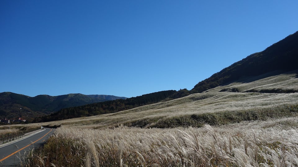 箱根仙石原 20151028