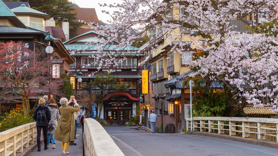 A street lined with traditional Japanese buildings and cherry blossoms.