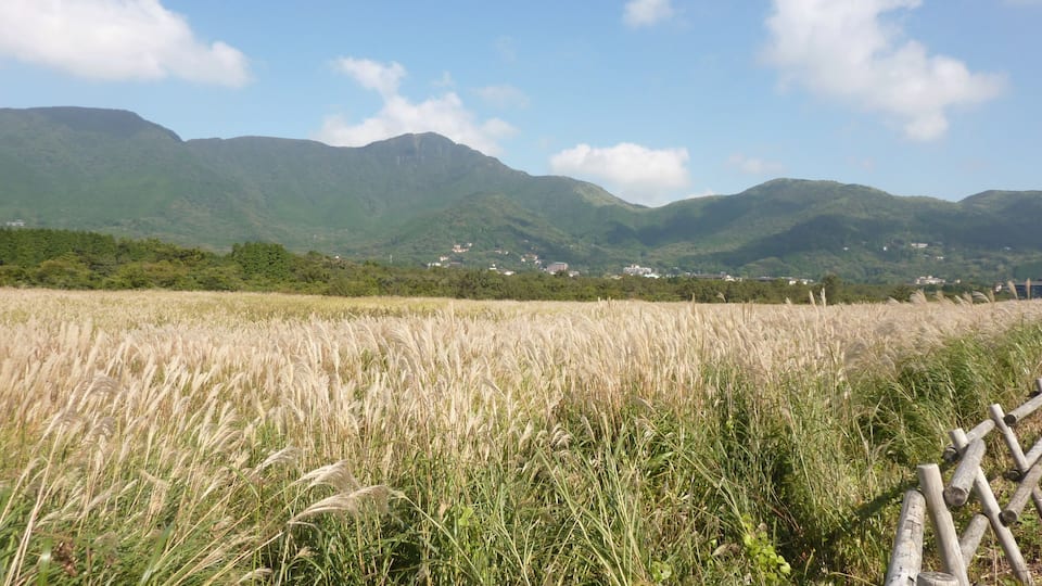 箱根仙石原湿原植物群落(神奈川県箱根町)