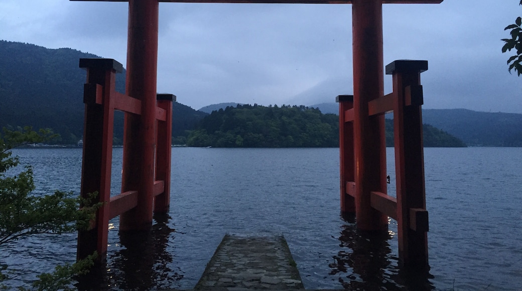 Tori gate in water at Hakone Shrine