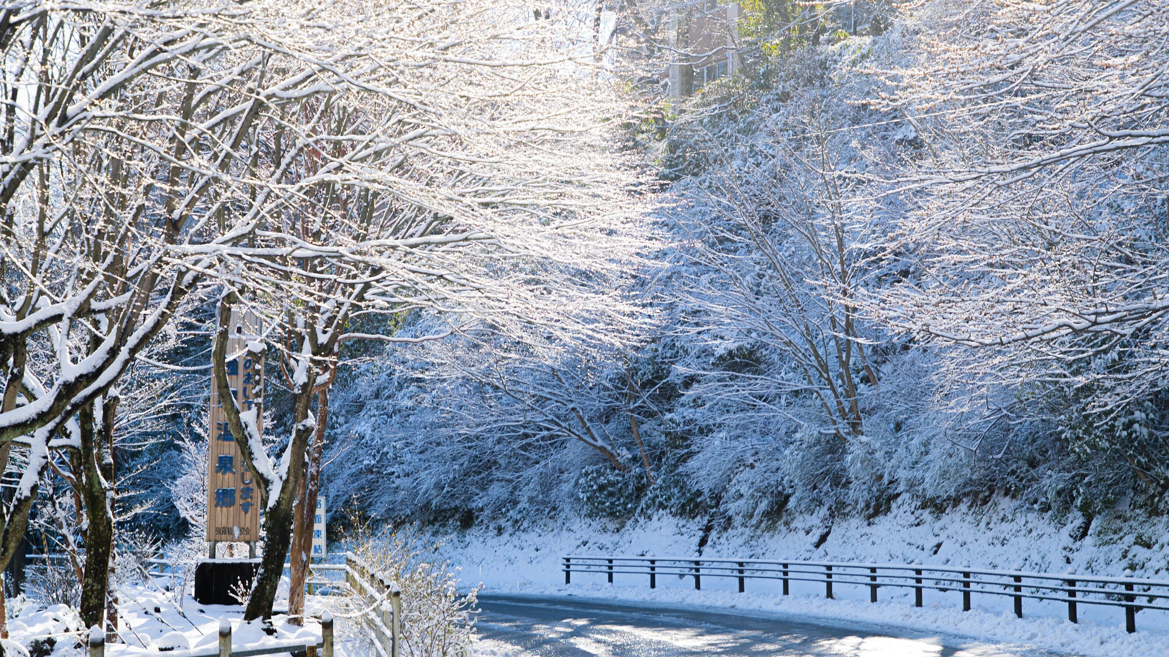 Hakone showing snow