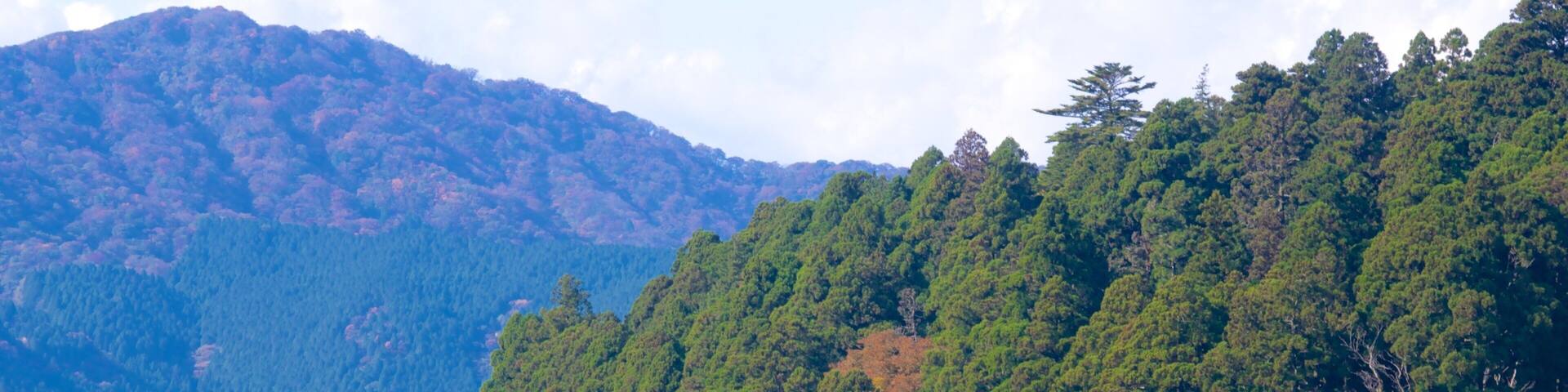 Lake Ashi which includes a lake or waterhole and forest scenes