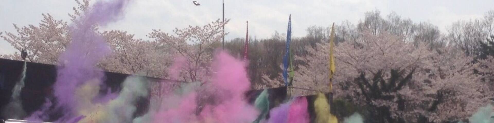 A crowd at an outdoor event with colorful smoke effects and trees in the background.