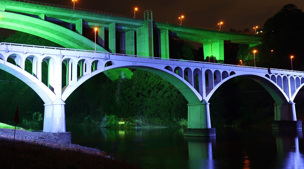 小倉橋と新小倉橋のライトアップ(神奈川県相模原市),ogura bridge,shinogura bridge,sagamihara city,kanagawa,japan