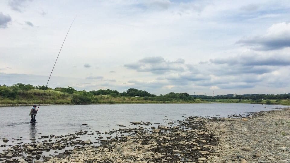 Sagami River near Zama, Kanagawa Prefecture, Japan. There are trails, parks, and fields along the river where the city holds annual festivals like the Zama Sunflower Festival and the Kite Festival.
#Japan #SagamiRiver #Fishing