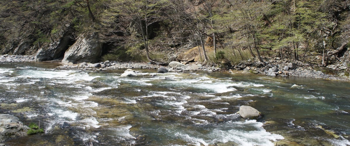 A river flowing through a forested area with rocky banks and trees.