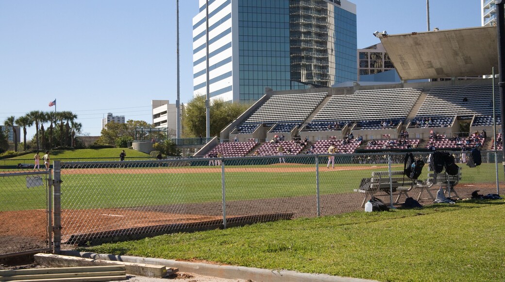 Stade Al Lang Stadium