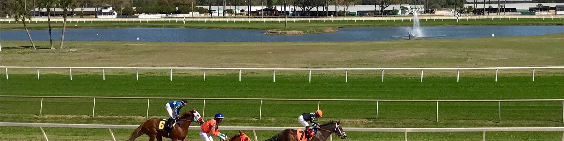 Spring is racing season, so grab your hat, sunglasses and lucky charm and head to the tracks! Bet on your favorite # and see what happens 😉👒🐎 #SpringFun