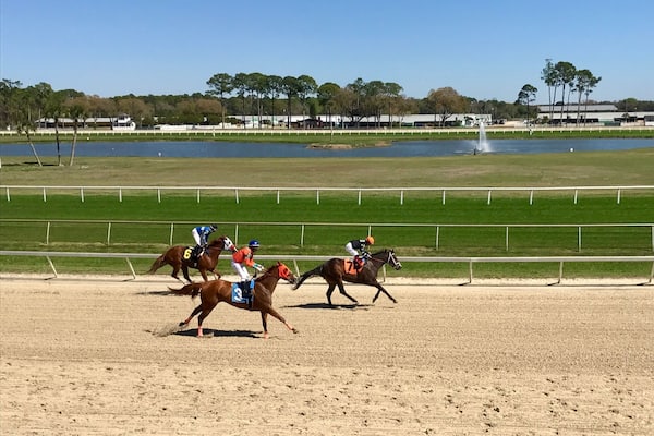Spring is racing season, so grab your hat, sunglasses and lucky charm and head to the tracks! Bet on your favorite # and see what happens 😉👒🐎 #SpringFun