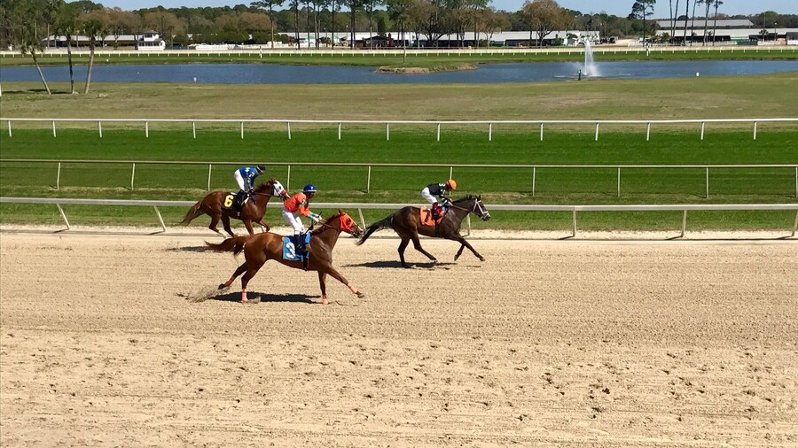 Spring is racing season, so grab your hat, sunglasses and lucky charm and head to the tracks! Bet on your favorite # and see what happens 😉👒🐎 #SpringFun