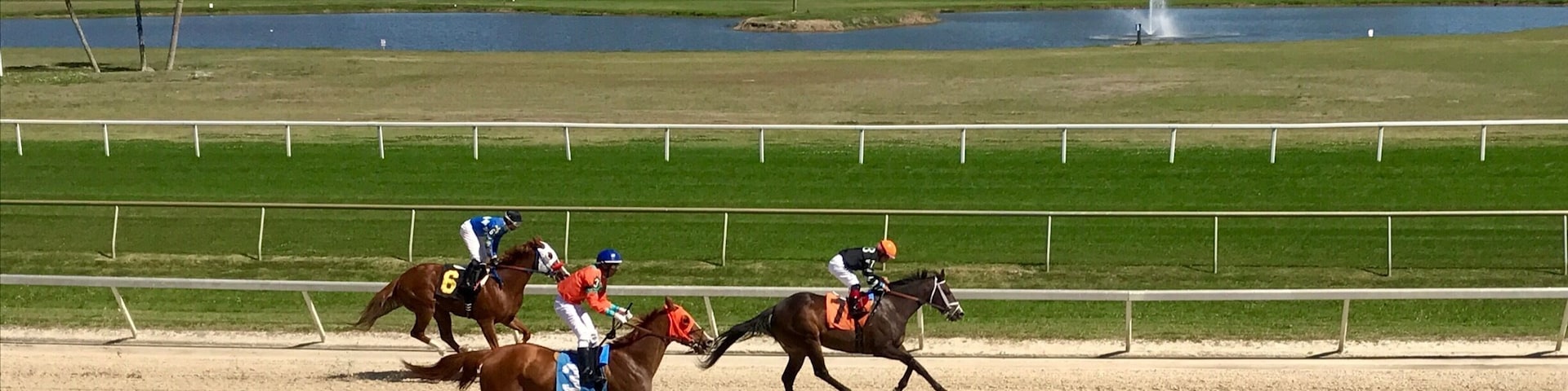 Spring is racing season, so grab your hat, sunglasses and lucky charm and head to the tracks! Bet on your favorite # and see what happens 😉👒🐎 #SpringFun