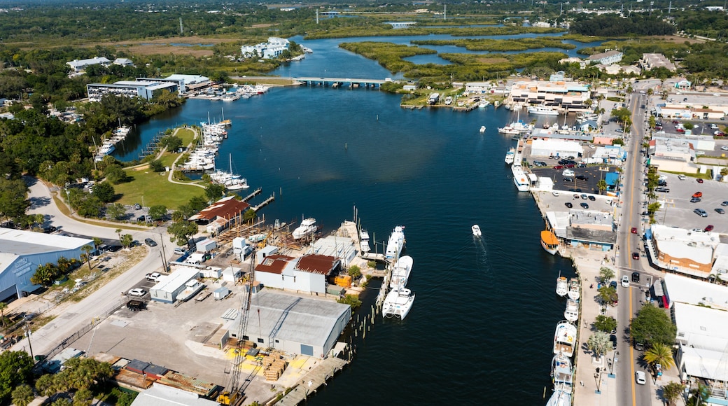 Tarpon Springs Sponge Docks