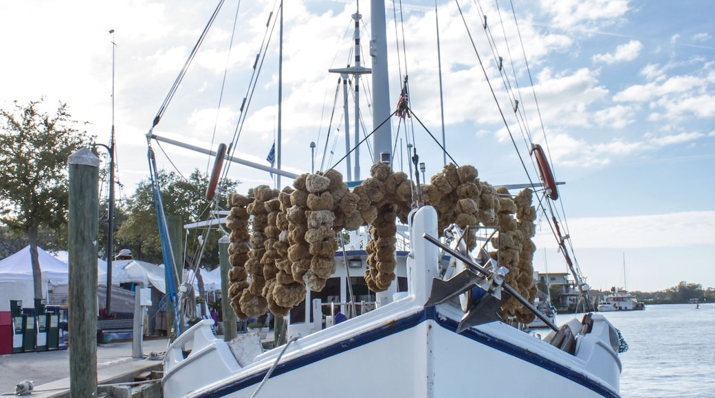 Tarpon Springs Sponge Docks