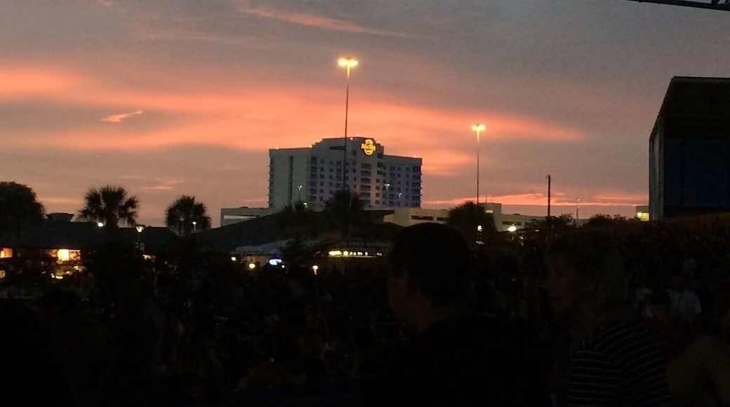 Beautiful sunset behind Hard Rock Casino as viewed from the Amphitheatre. Reminds me of sky from ghostbusters 2. NIN and Soundgarden concert this night was awesome as well.