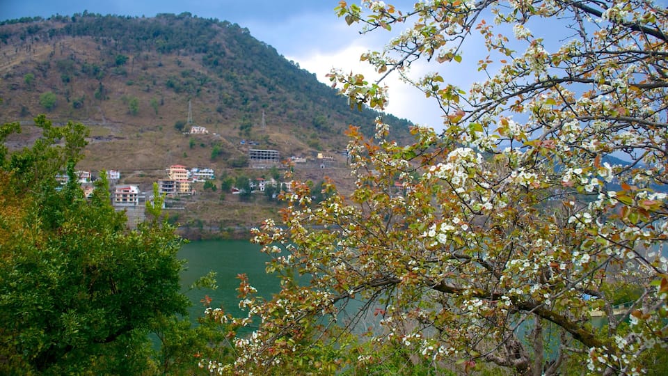 A mountainous landscape with a lake, buildings, and blooming trees.