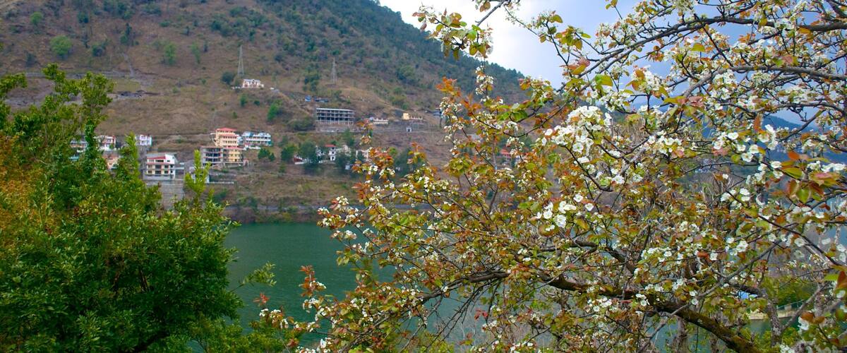 A mountainous landscape with a lake, buildings, and blooming trees.