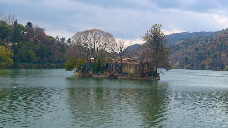 A small island with a house surrounded by trees and a lake.