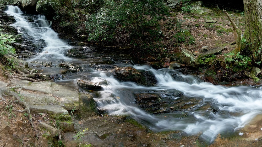 A small stream flows through the woods of Talladega National Forest in Alabama, USA