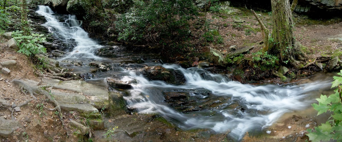 A flowing stream with rocks and greenery.