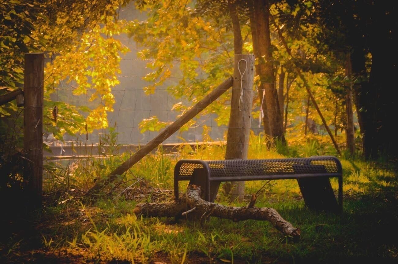 Campgrounds are right on the waterway! Just slip your kayak in and off you go! Awesome little place! #nature