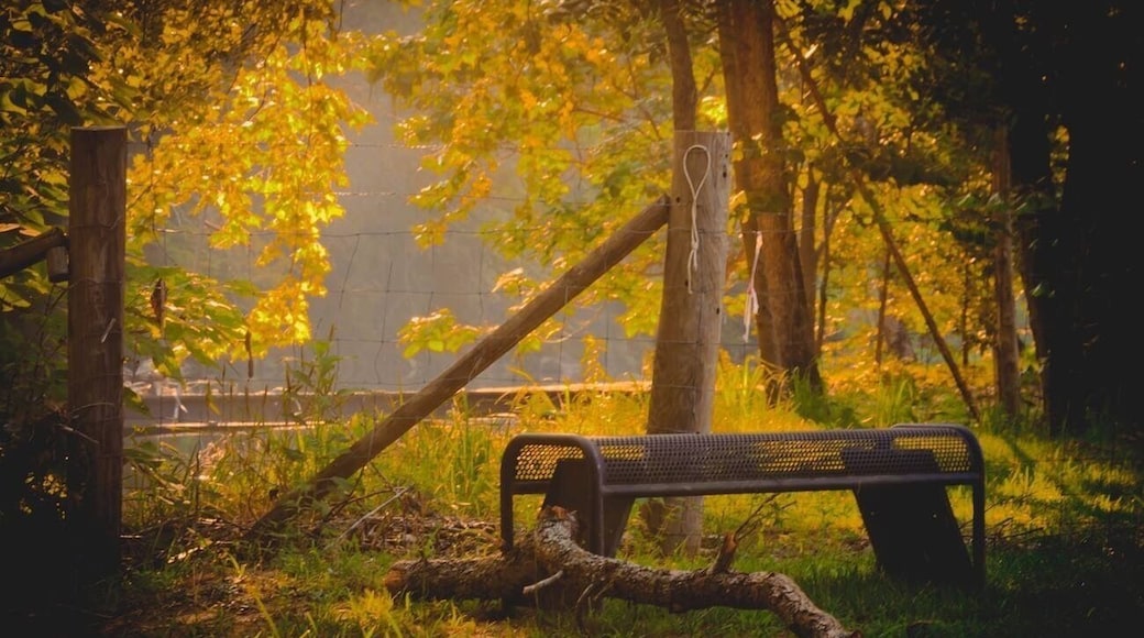 Campgrounds are right on the waterway! Just slip your kayak in and off you go! Awesome little place! #nature