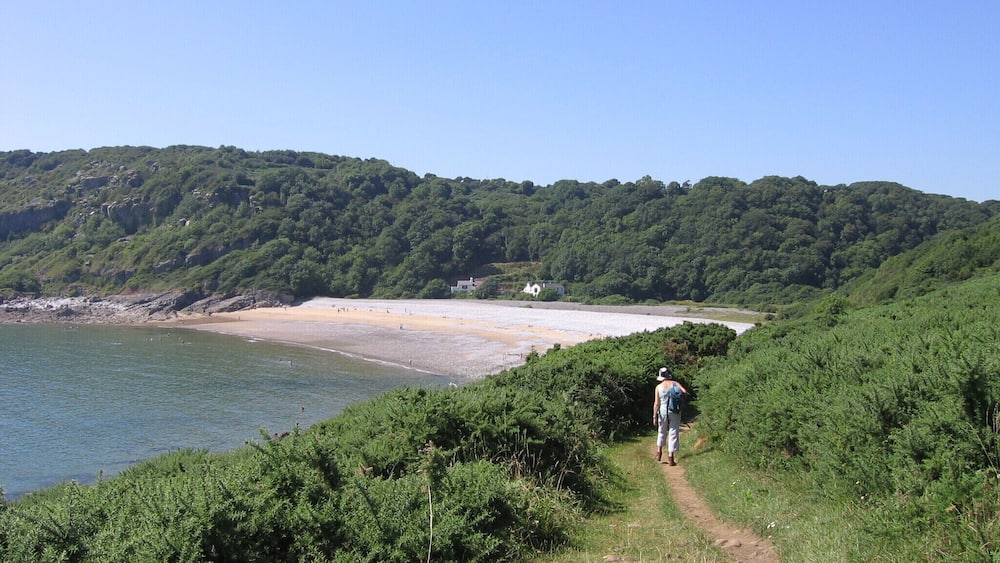 A coastal path leading to a beach with a forested hillside in the background.