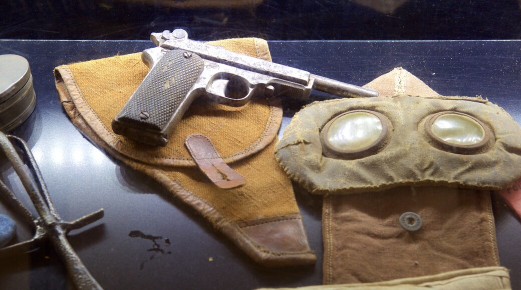 CarriĂšre Wellington