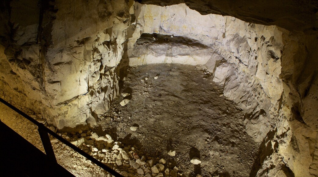 CarriĂšre Wellington