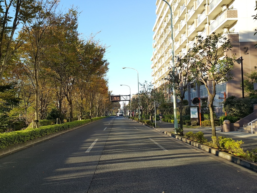 Itsukaichikaido in the autumn. Photographed facing west in the east-bound lanes, not far from Musashino University. Nishitokyo, Tokyo, Japan.