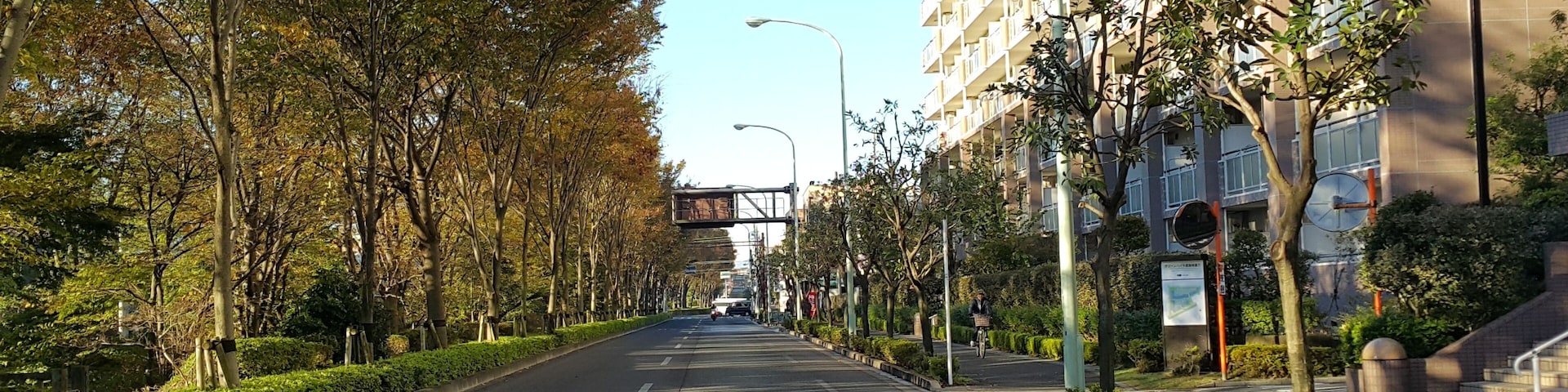 Itsukaichikaido in the autumn. Photographed facing west in the east-bound lanes, not far from Musashino University. Nishitokyo, Tokyo, Japan.