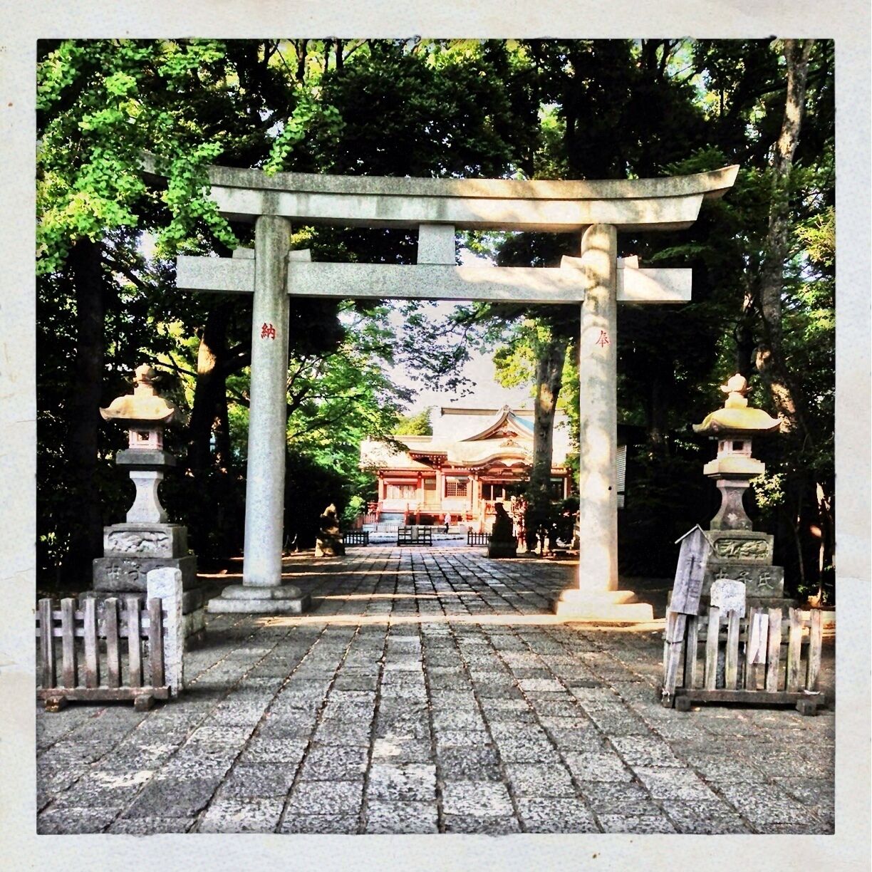 A traditional Japanese torii gate leading to a temple.
