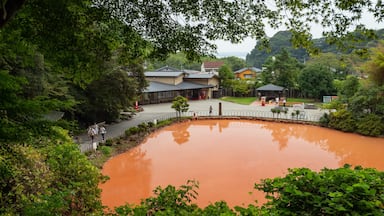 Um lago com tonalidade avermelhada, rodeado por vegetação exuberante e alguns edifícios ao fundo.
