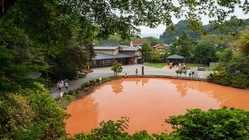 A pond with a reddish-brown hue, surrounded by lush greenery and a few buildings in the background.