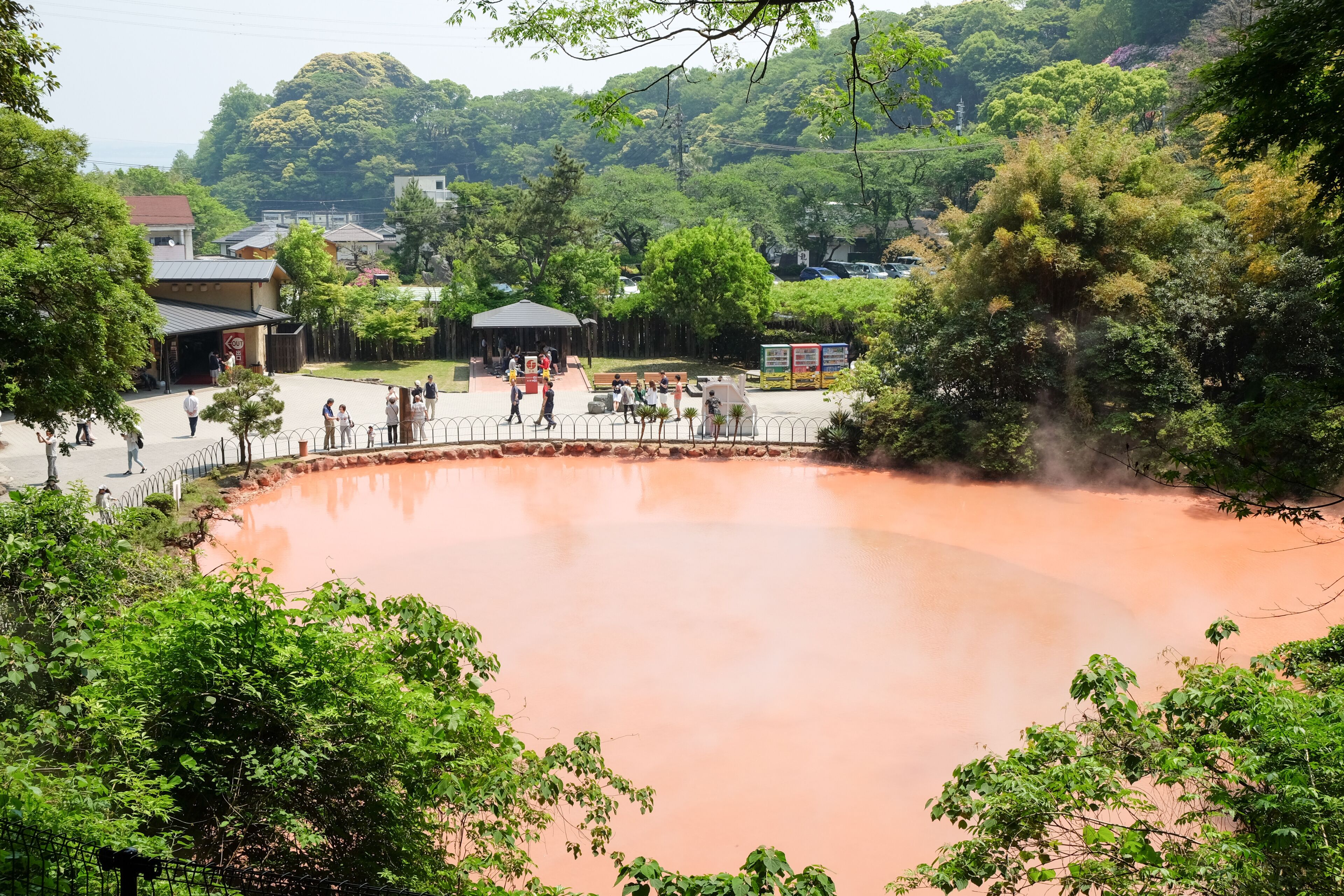 A hot spring surrounded by lush greenery and a few buildings.