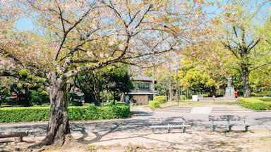 Tokushima Central Park at spring in Shikoku, Japan