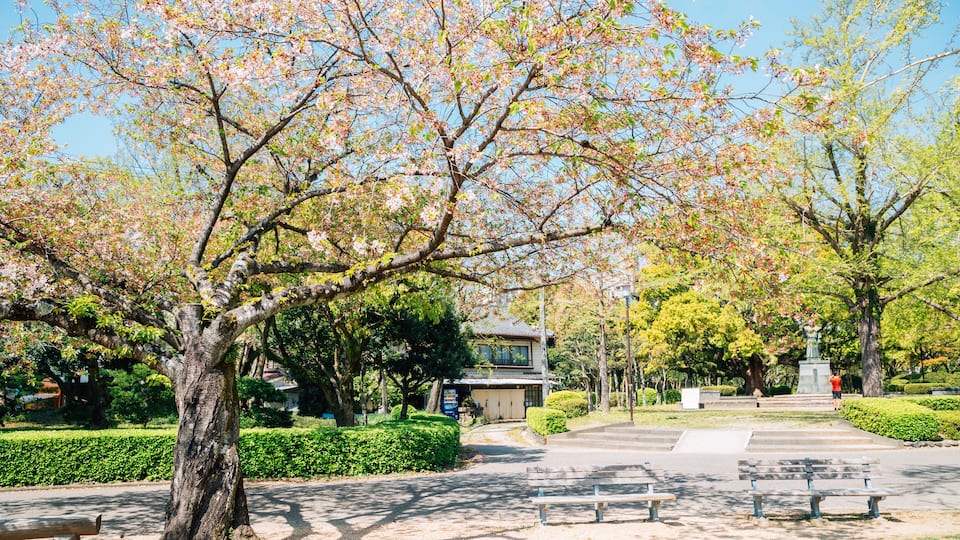 Tokushima Central Park at spring in Shikoku, Japan