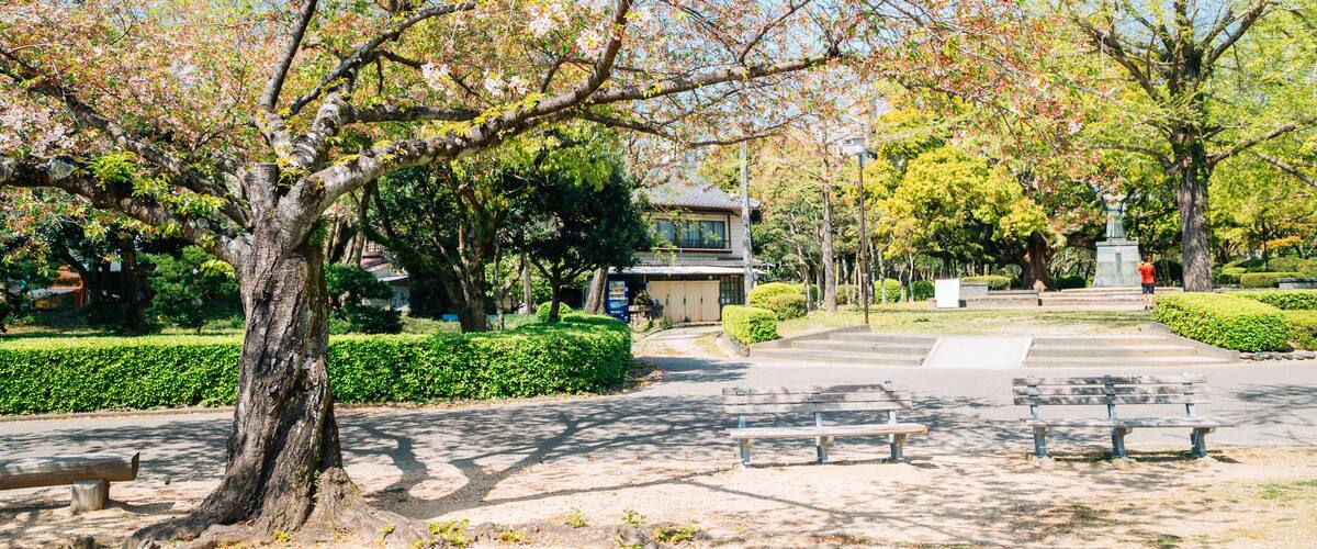 Tokushima Central Park at spring in Shikoku, Japan