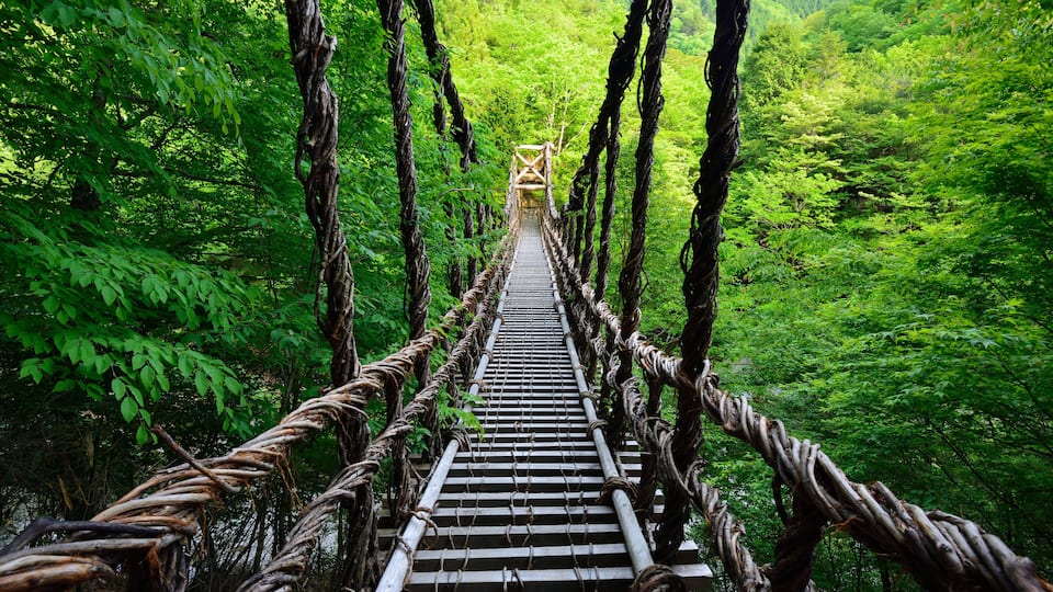 A wooden suspension bridge surrounded by dense green forest.