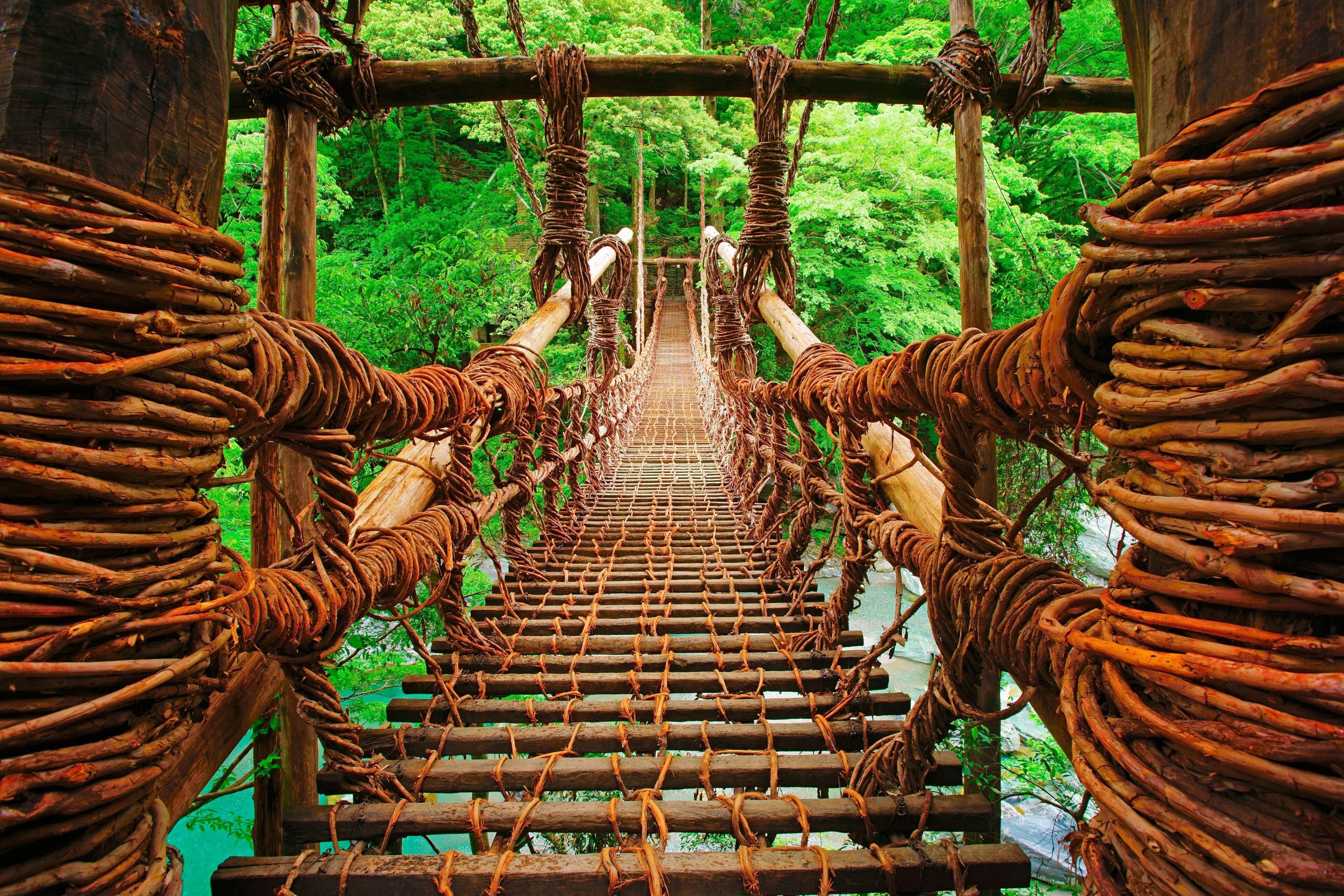 Kazura Bridge in Iya in the morning, Shikoku,Tokushima Prefecture,Miyoshi, Tokushima,Japan